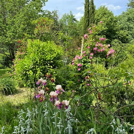 Les Vergers Apartment