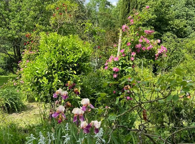 Les Vergers Apartment