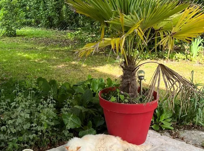 Apartment Les Vergers Bergerac